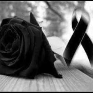 Meet your Posher, Gustavo